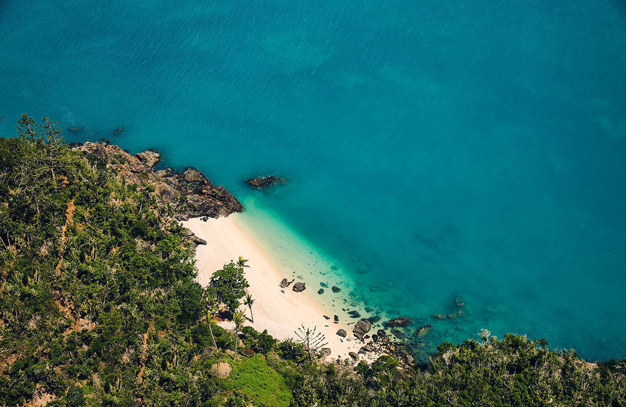 Colourful parrots and sunbirds inhabit the island's mini jungles